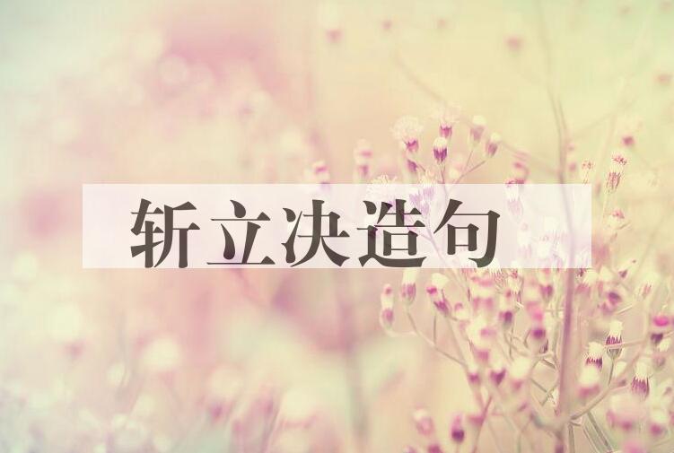 用斩立决造句