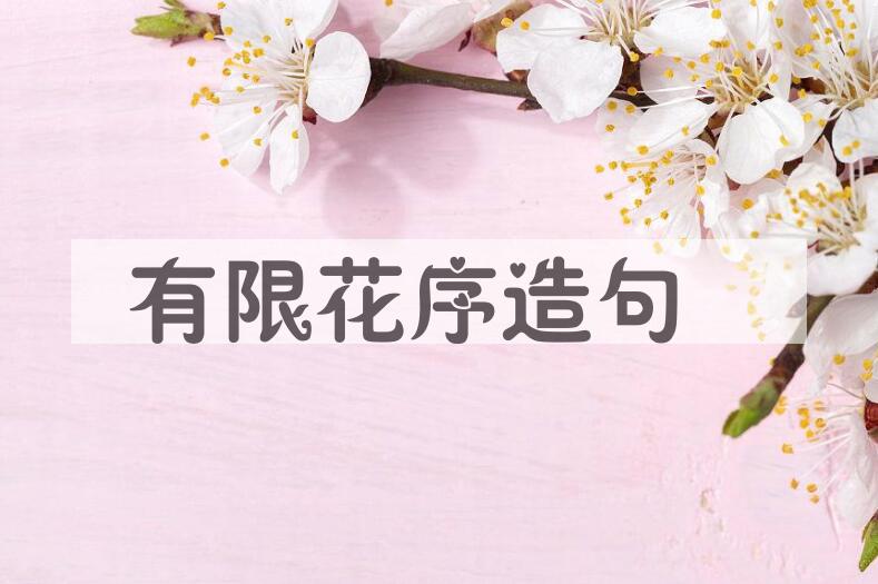 用有限花序造句