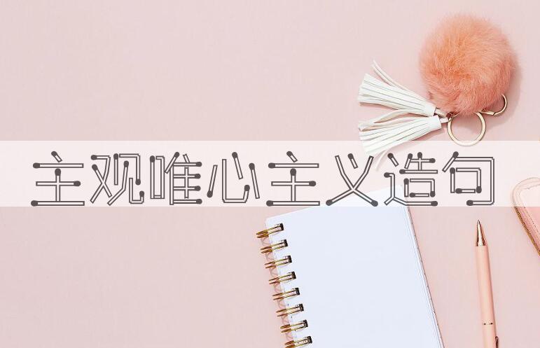 用主观唯心主义造句