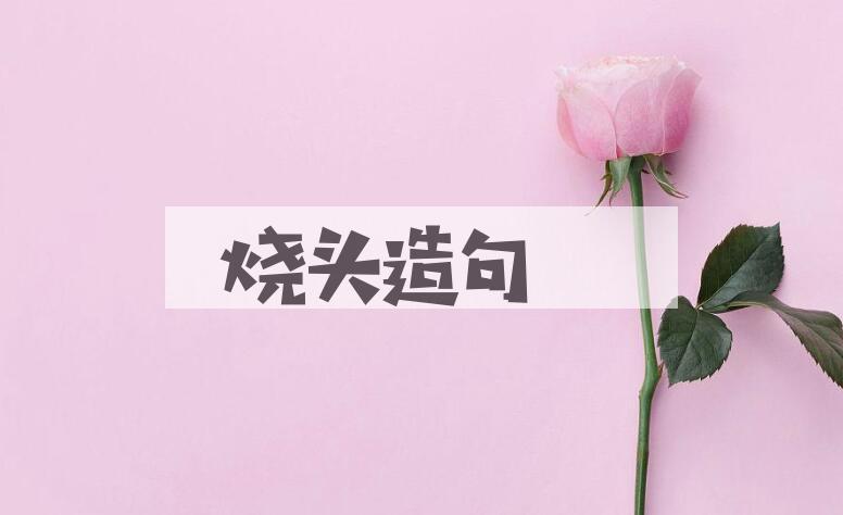 用烧头造句