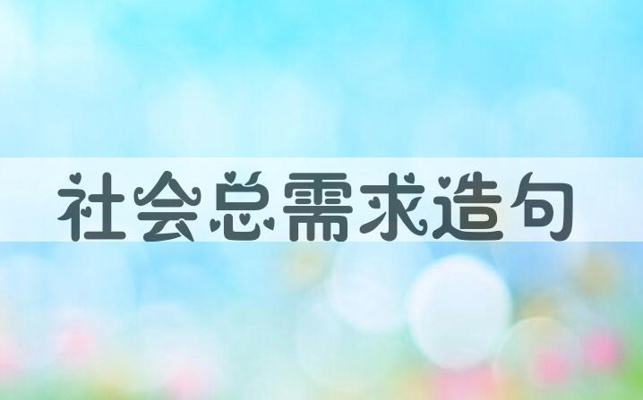用社会总需求造句