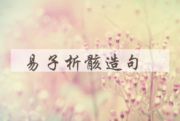 用易子析骸造句
