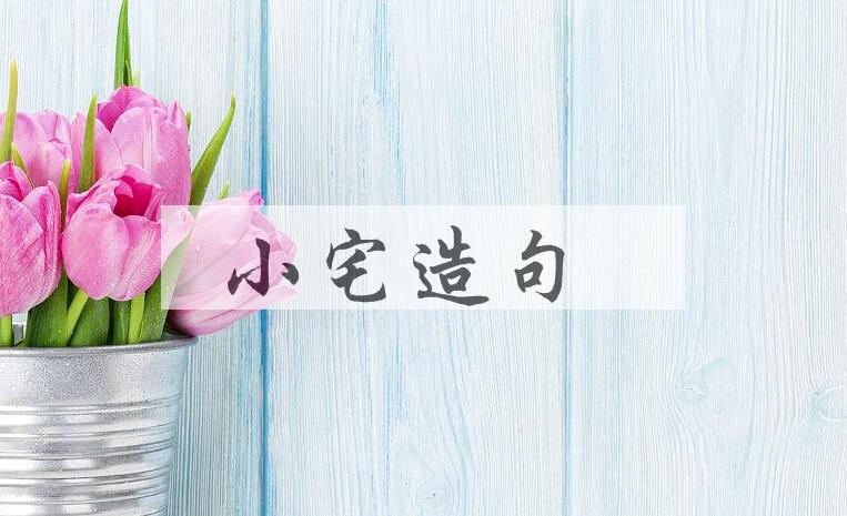 用小宅造句