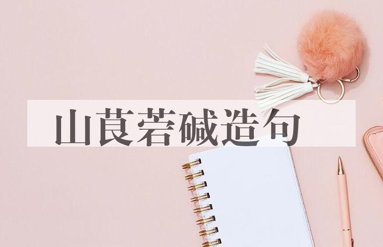 用山茛菪碱造句