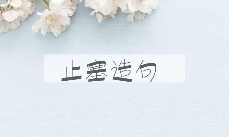 用止塞造句