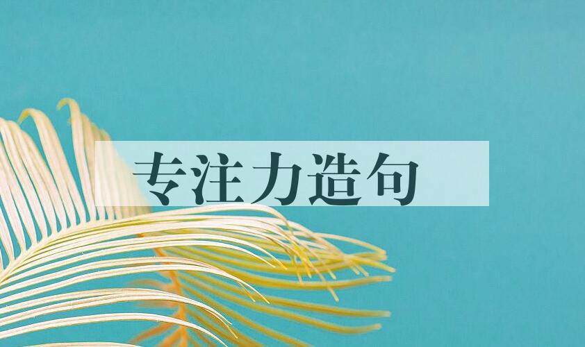 用专注力造句