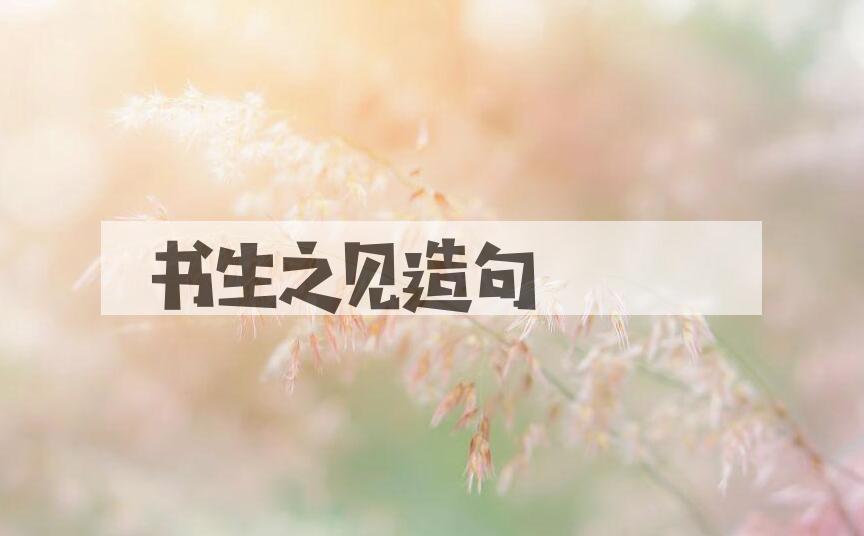 用书生之见造句
