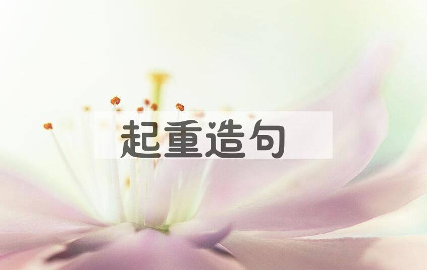 用起重造句