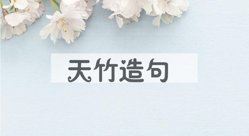 用天竹造句