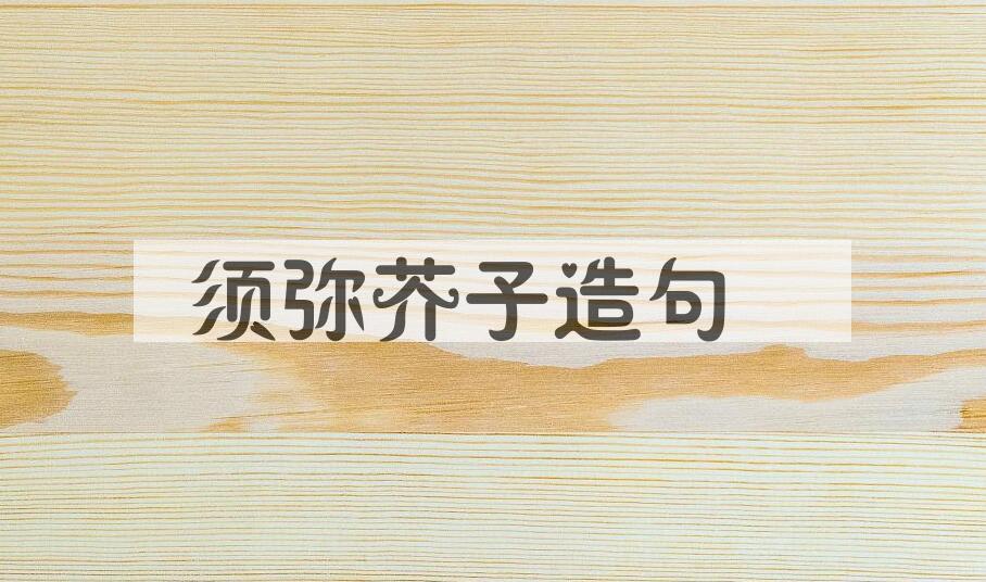 用须弥芥子造句