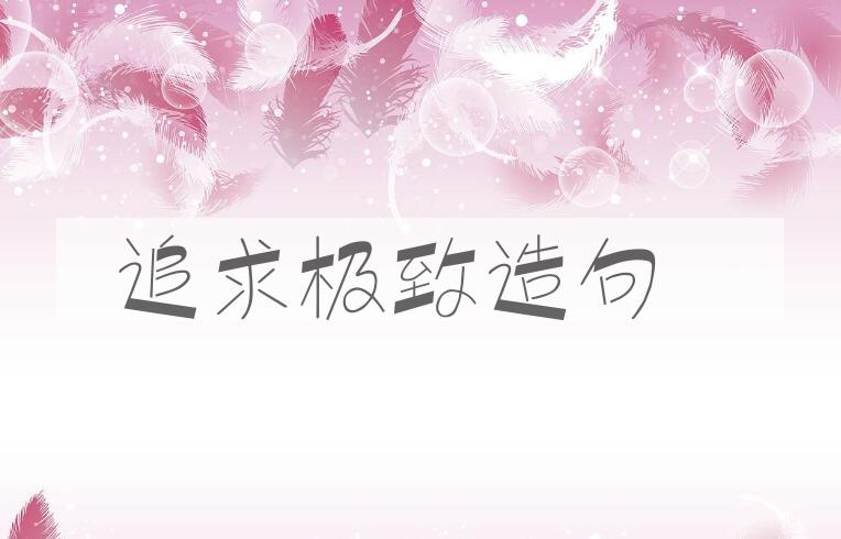 用追求极致造句