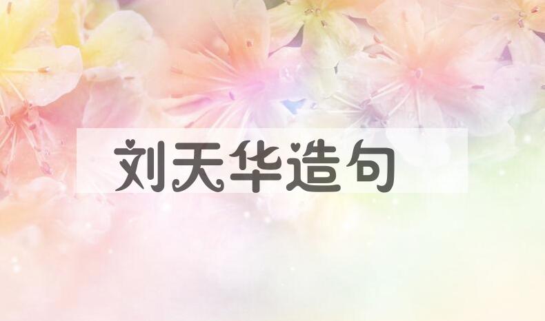 用刘天华(1895-1932)造句