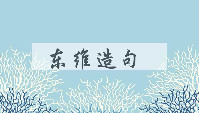 用东维造句