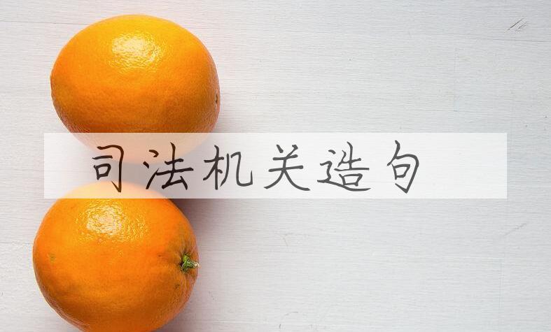 用司法机关造句