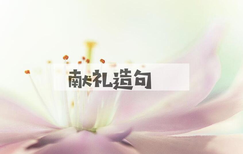 用献礼造句