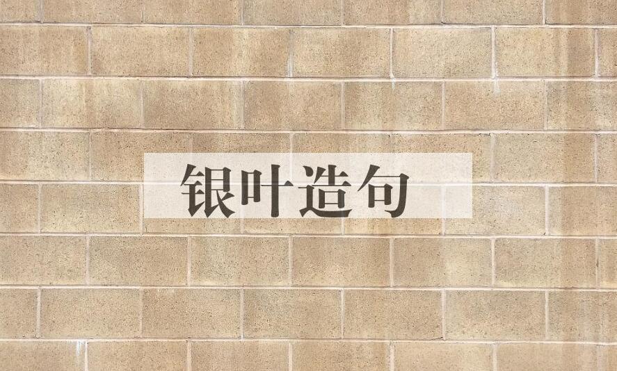 用银叶造句