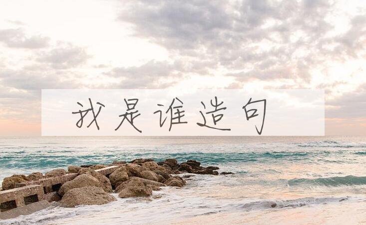用我是谁造句