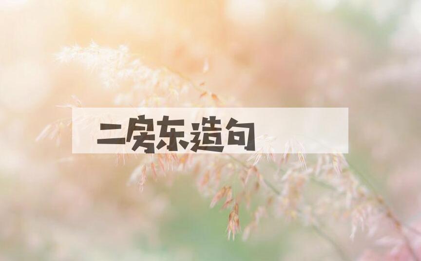 用二房东造句