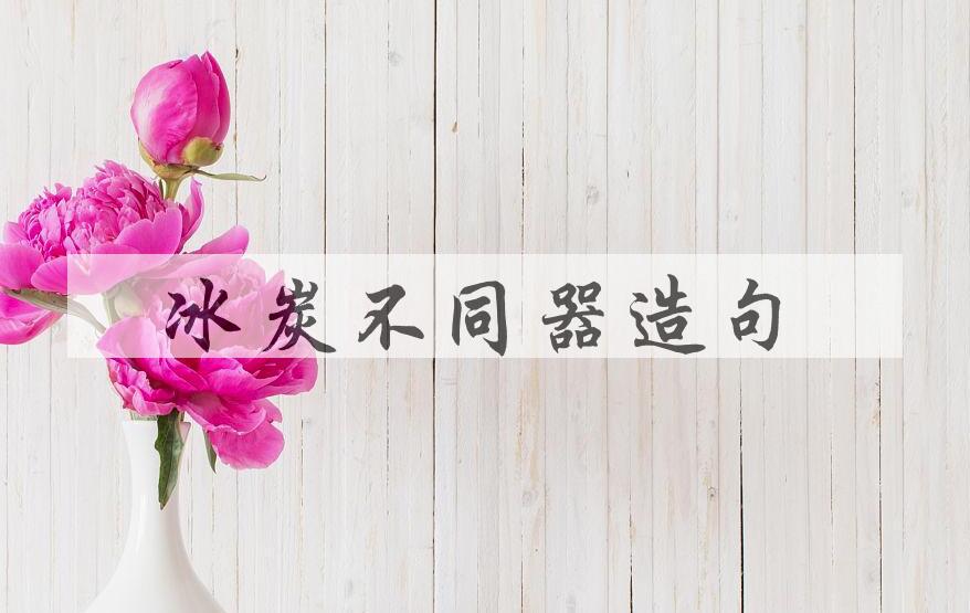 用冰炭不同器造句