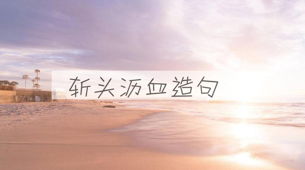 用斩头沥血造句