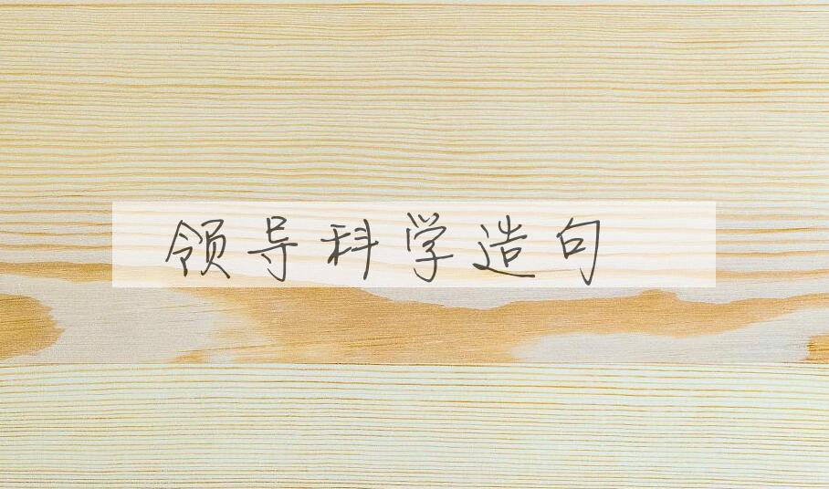 用领导科学造句