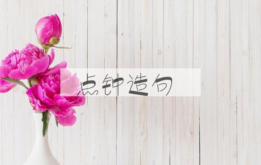 用点钟造句