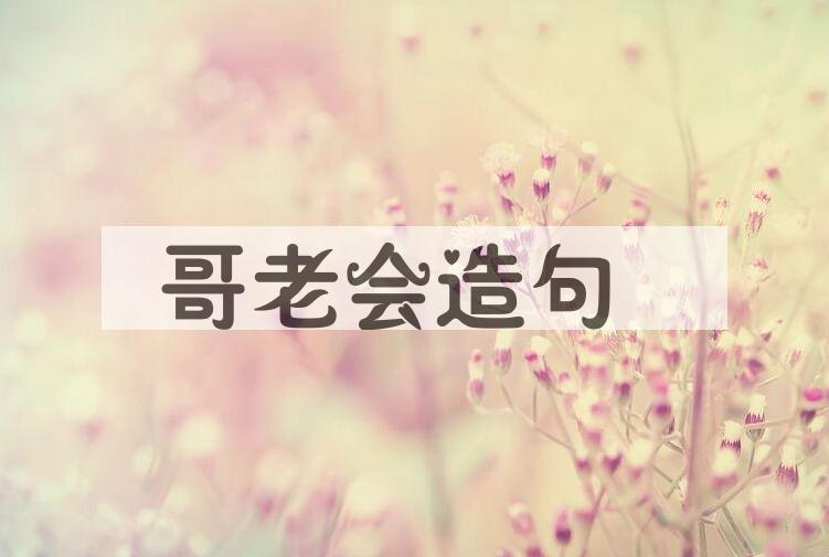 用哥老会造句