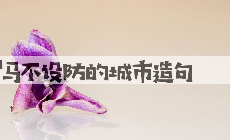 用罗马，不设防的城市造句