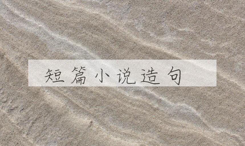 用短篇小说造句