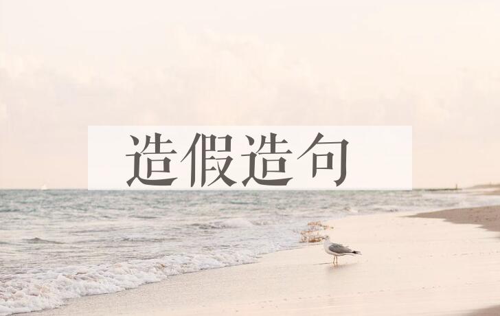 用造假造句