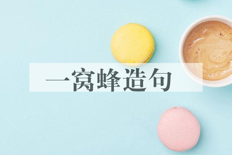 用一窝蜂造句