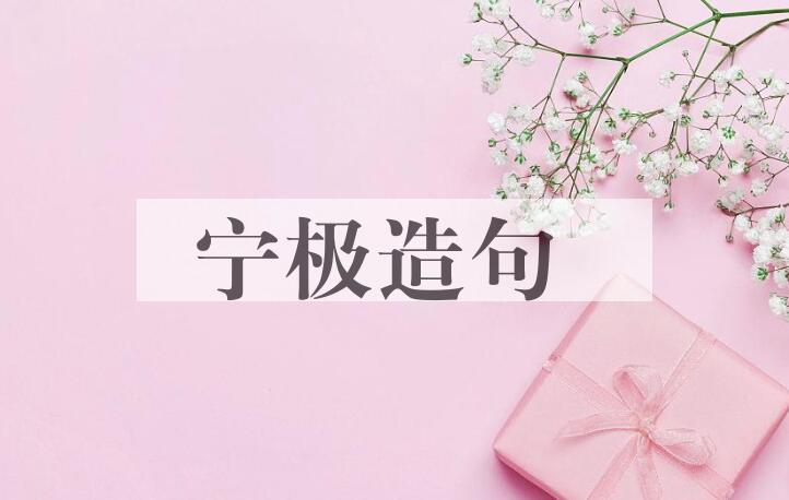 用宁极造句