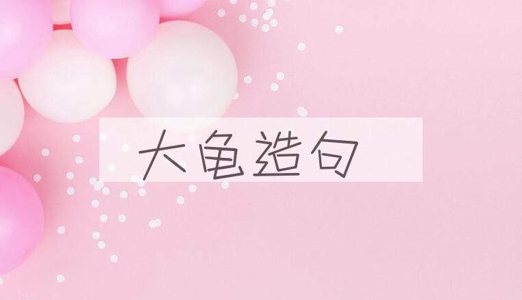 用大龟造句