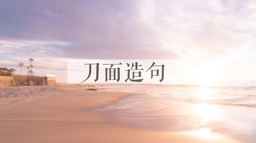 用刀面造句
