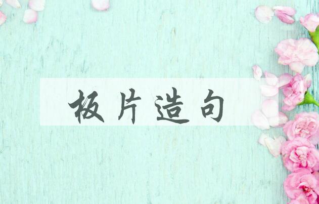 用板片造句