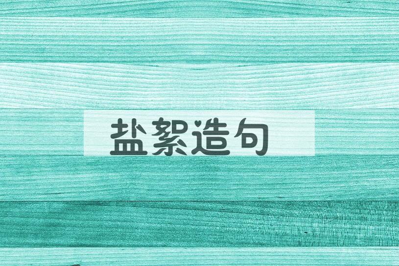 用盐絮造句