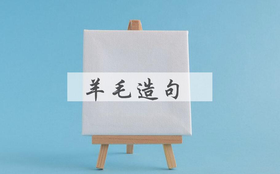 用羊毛造句