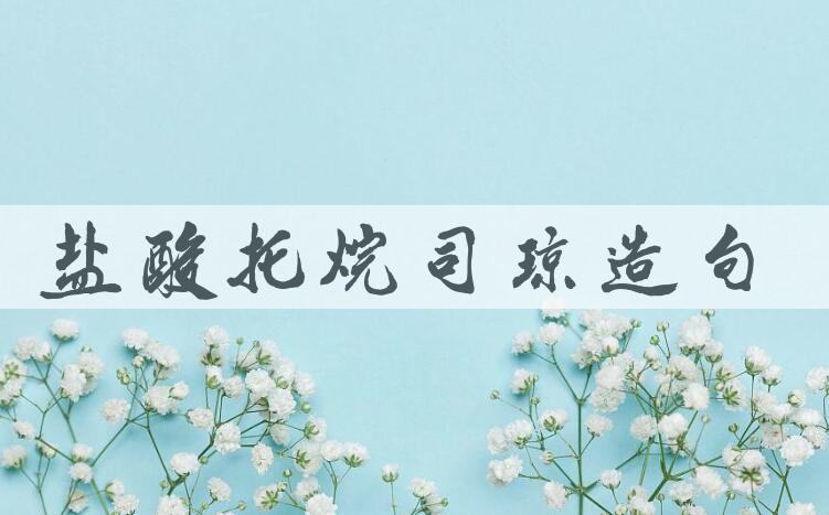 用盐酸托烷司琼造句