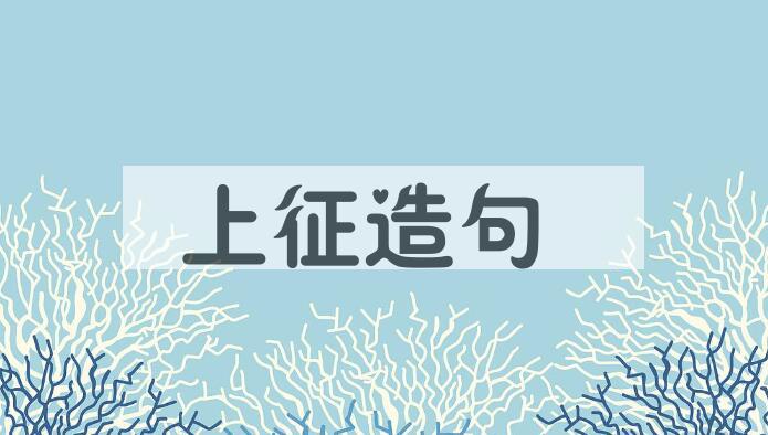 用上征造句