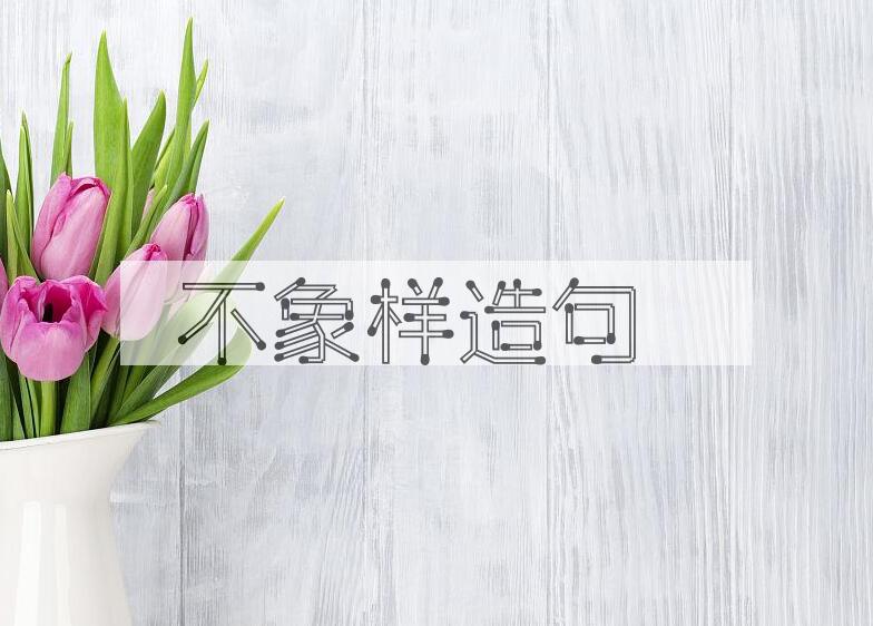 用不象样造句