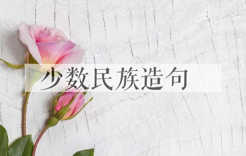 用少数民族造句