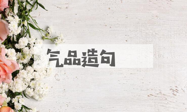 用气品造句