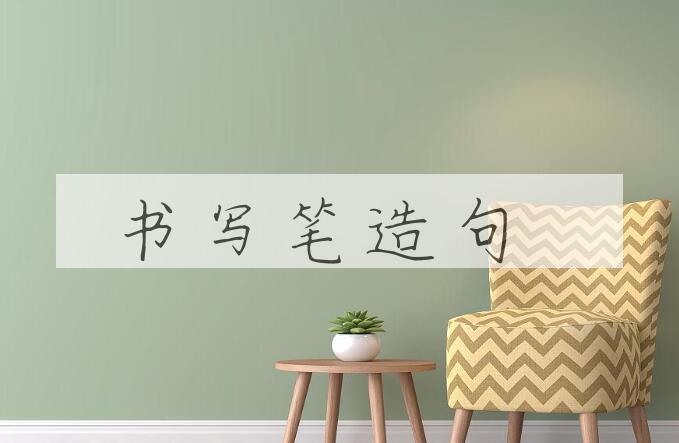 用书写笔造句