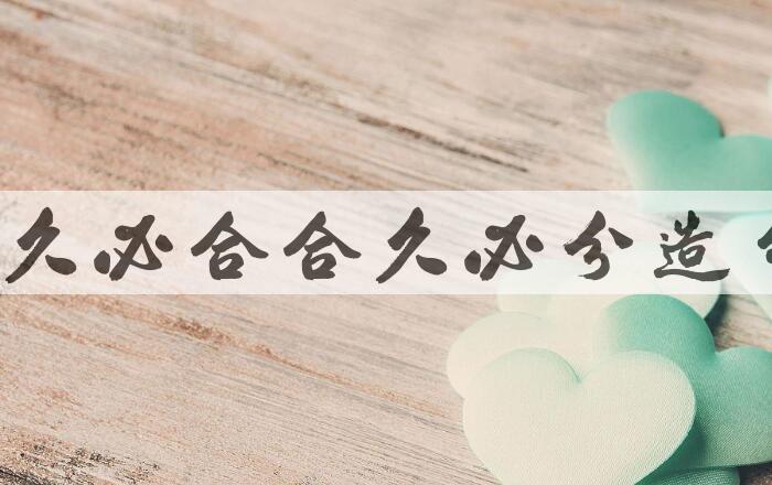 用分久必合，合久必分造句
