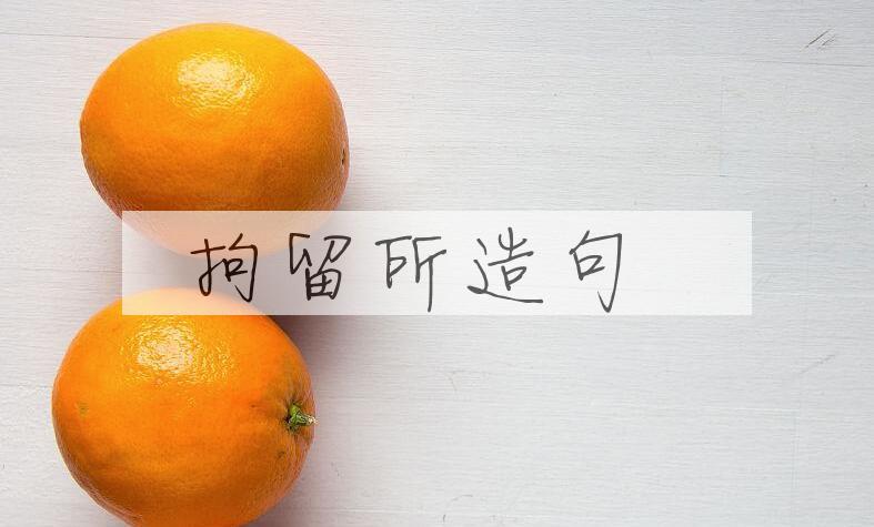 用拘留所造句