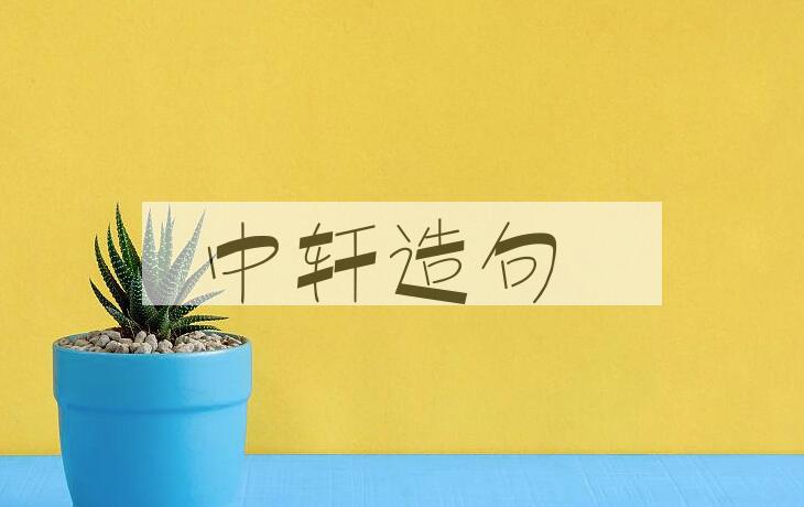 用中轩造句