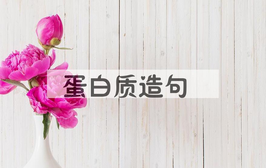 用蛋白质造句