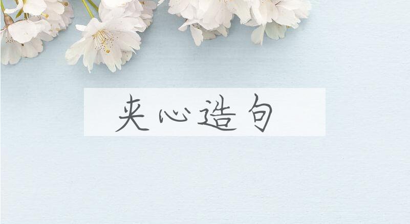 用夹心造句