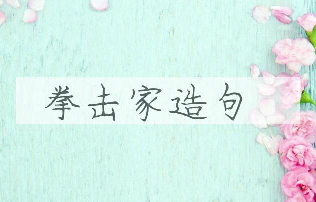 用拳击家造句