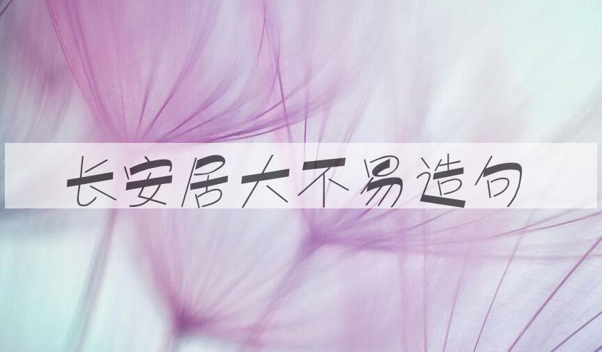 用长安居大不易造句